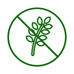 No Gluten or Dairy