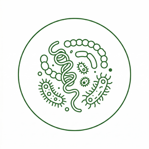 Patented Digestive Enzymes