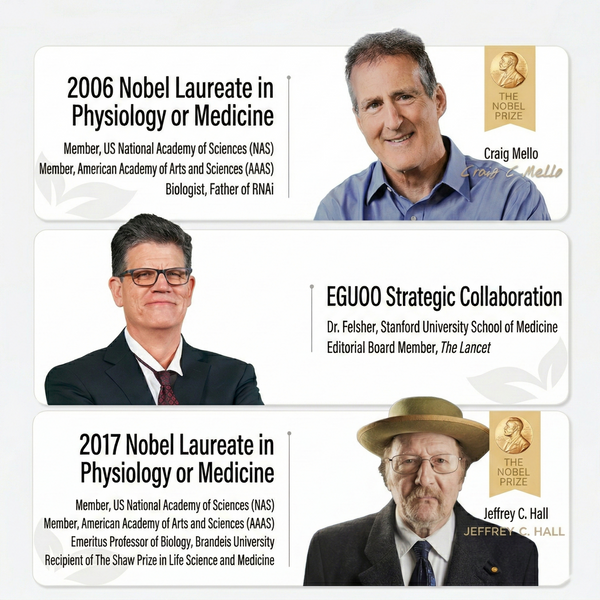 The Experts