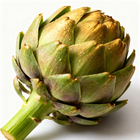 Artichoke Leaf Extract